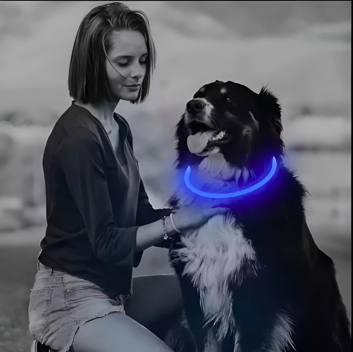 Collar luminoso led