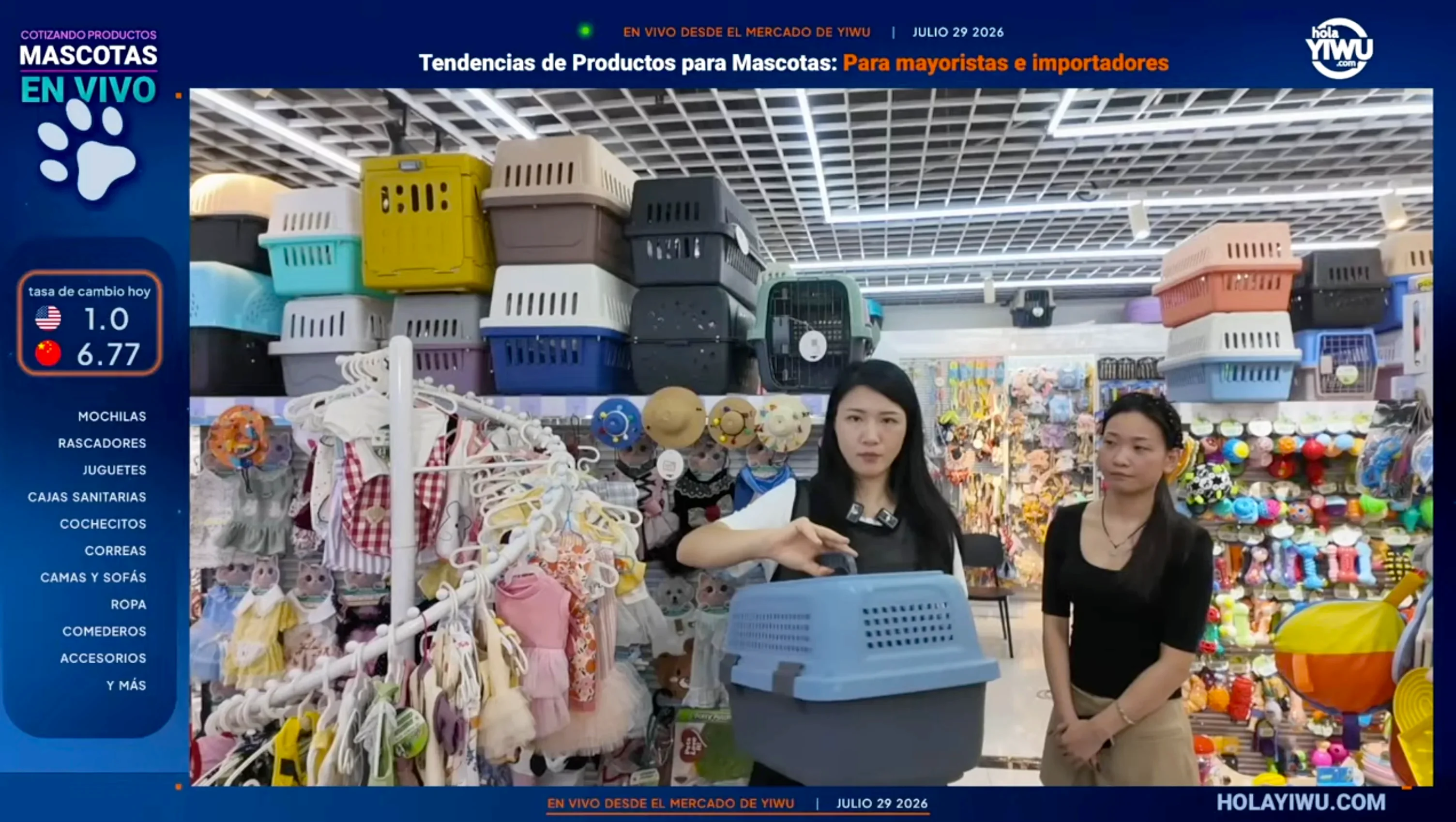Replay · Mercado de Yiwu en Vivo — Mascotas